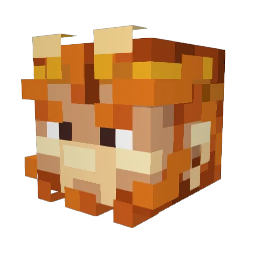 Fojuk Minecraft avatar head, 3D render