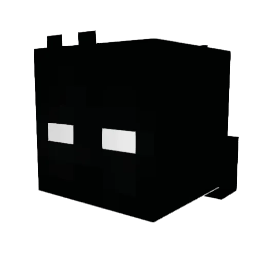 FokselotPL14 Minecraft avatar head, 3D render