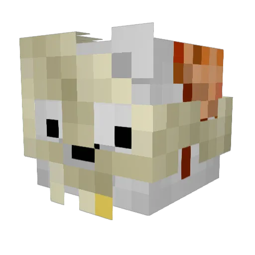 Foksqwq Minecraft avatar head, 3D render
