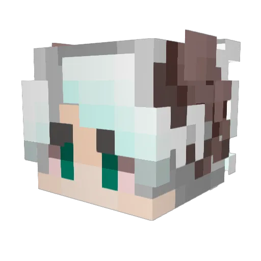 Fokuer Minecraft avatar head, 3D render