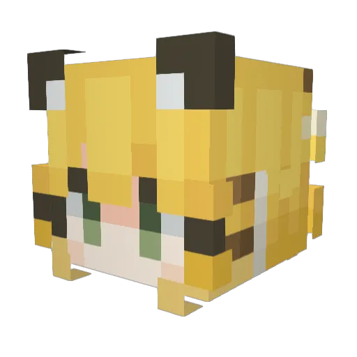 Fokuzu Minecraft avatar head, 3D render
