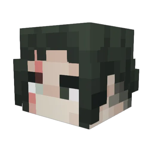 Folder_N Minecraft avatar head, 3D render