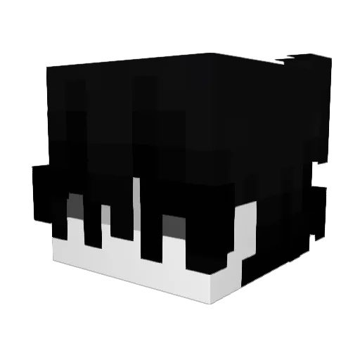 FoldingCanoe661 Minecraft avatar head, 3D render