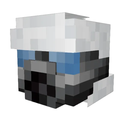 FoldupToaster62 Minecraft avatar head, 3D render