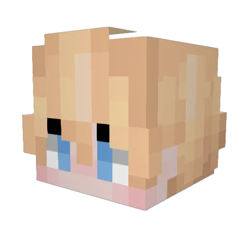 Folioxhattu Minecraft avatar head, 3D render