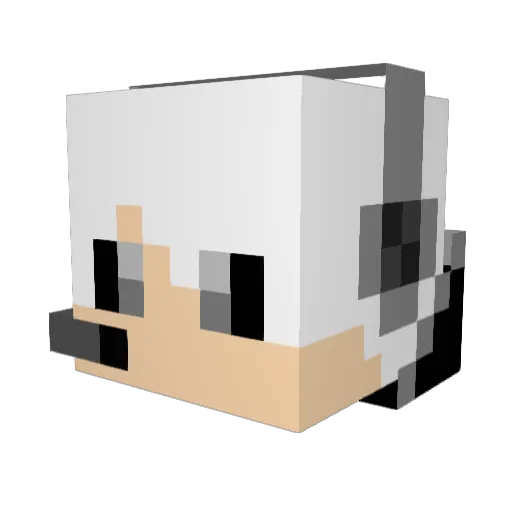 Folk7519 Minecraft avatar head, 3D render