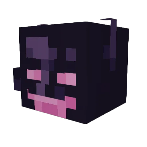 Foll_4 Minecraft avatar head, 3D render