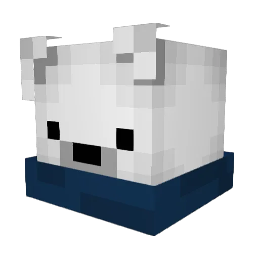 FollowAerumeYT Minecraft avatar head, 3D render