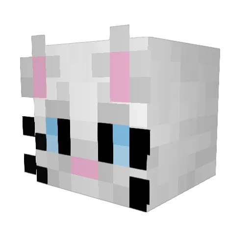 FollowCat Minecraft avatar head, 3D render