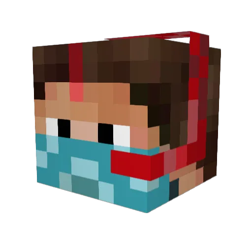 FollowDreamer Minecraft avatar head, 3D render