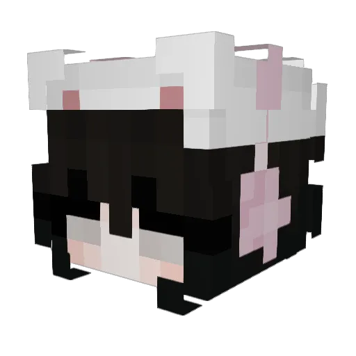Followry Minecraft avatar head, 3D render