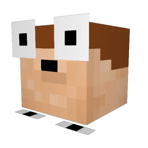 Followverex Minecraft avatar head, 3D render