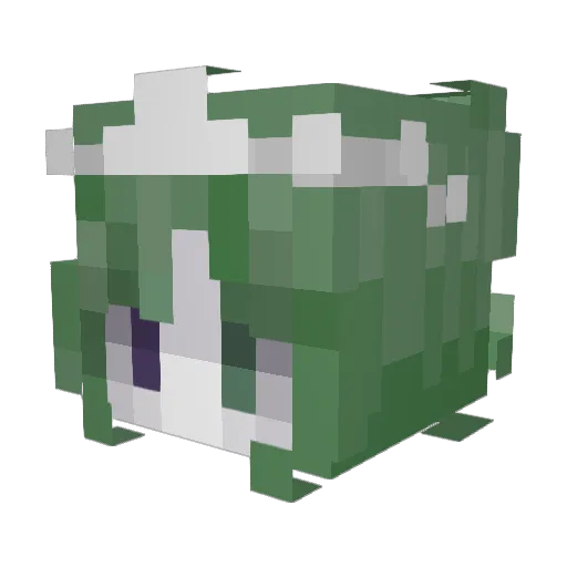 Folly_1 Minecraft avatar head, 3D render