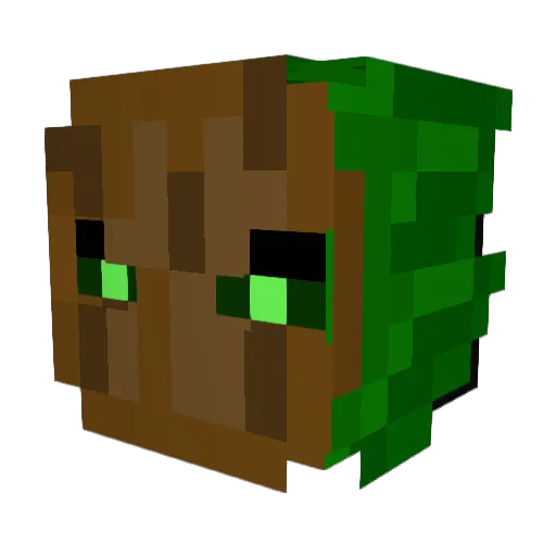 Fomesfomentarius Minecraft avatar head, 3D render