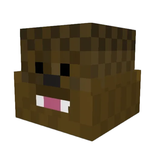 Fomran Minecraft avatar head, 3D render