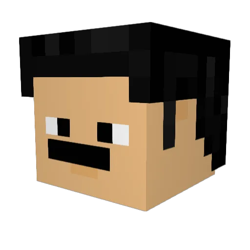 FonFon20 Minecraft avatar head, 3D render