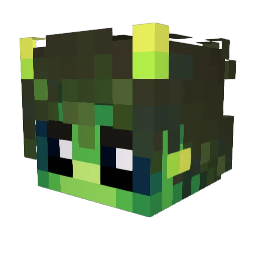FonPon_ Minecraft avatar head, 3D render