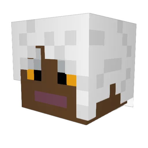 FondelBalls Minecraft avatar head, 3D render