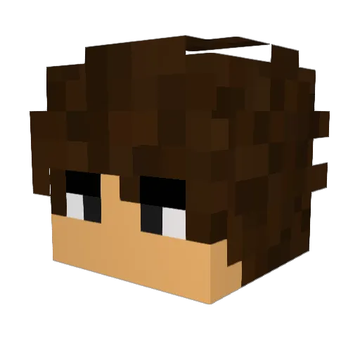 Fonet Minecraft avatar head, 3D render