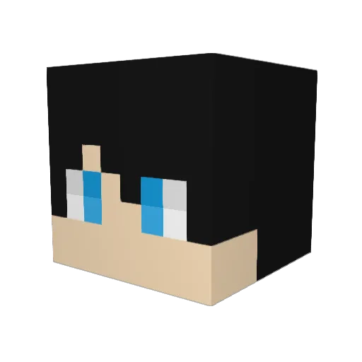 FoniWeiss Minecraft avatar head, 3D render