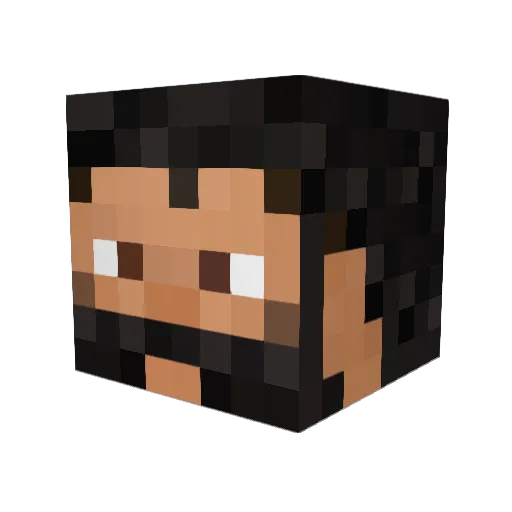 Fonnin Minecraft avatar head, 3D render