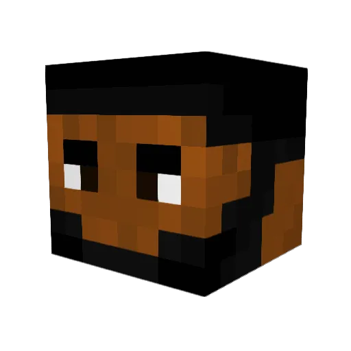 Fonsin27 Minecraft avatar head, 3D render