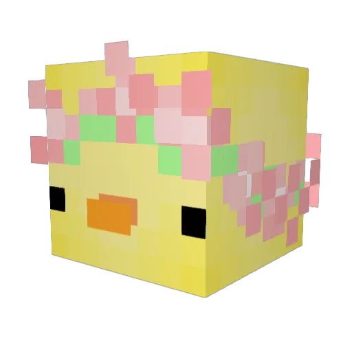 Fontn Minecraft avatar head, 3D render