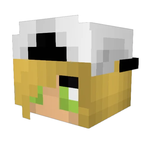 FoodCultreStory Minecraft avatar head, 3D render