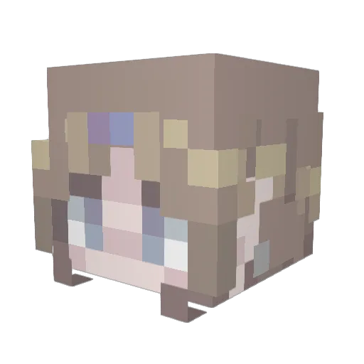 FoodGoblin4407 Minecraft avatar head, 3D render