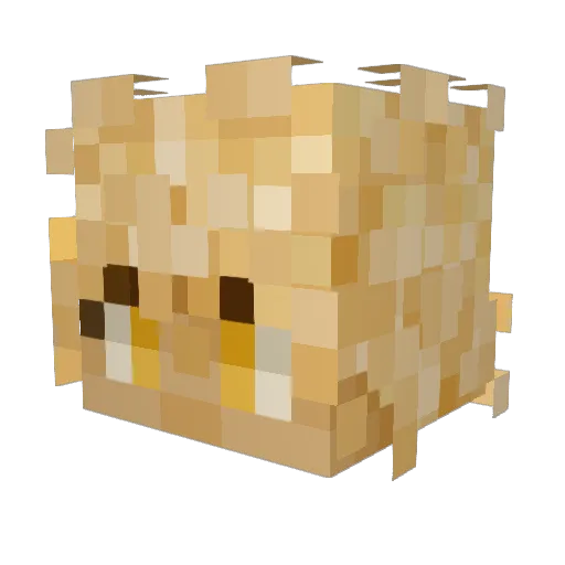 Food_dude_99 Minecraft avatar head, 3D render