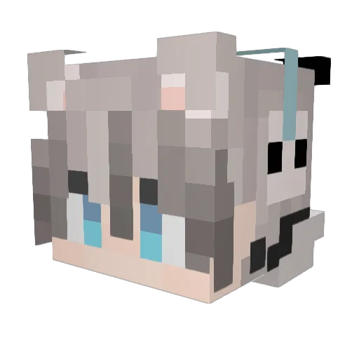 Foodie0404 Minecraft avatar head, 3D render