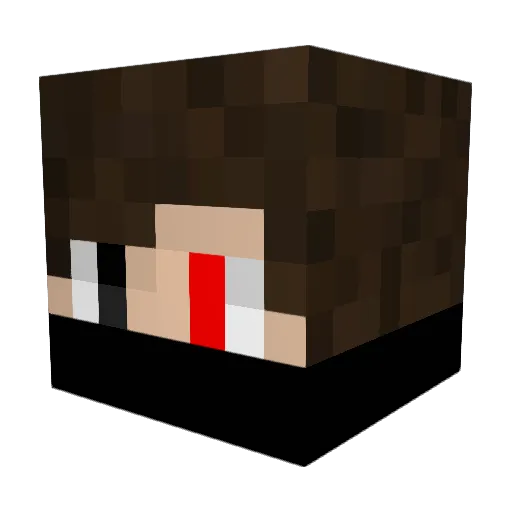Foodmaster14 Minecraft avatar head, 3D render