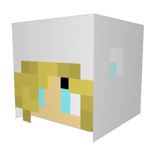 Foofi44 Minecraft avatar head, 3D render