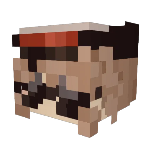Foofighterfan10 Minecraft avatar head, 3D render