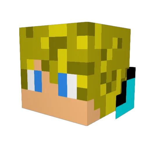 FoolCity Minecraft avatar head, 3D render