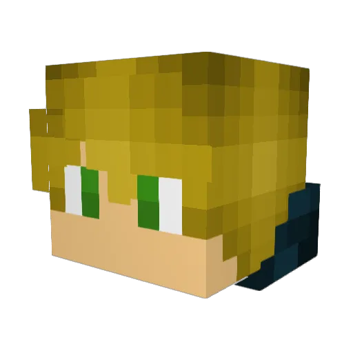 FoolInAFlannel Minecraft avatar head, 3D render