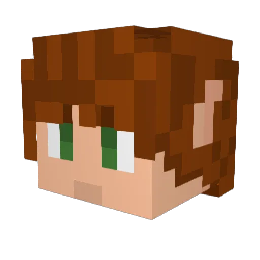 FoolOfATook09 Minecraft avatar head, 3D render