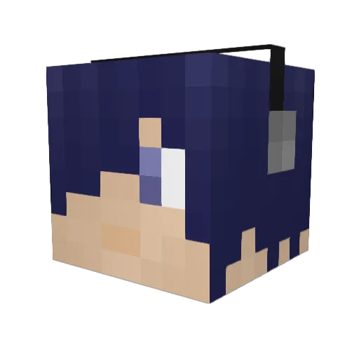 Fooldot Minecraft avatar head, 3D render