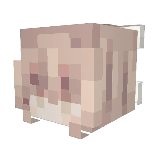 FoolishFool_ Minecraft avatar head, 3D render