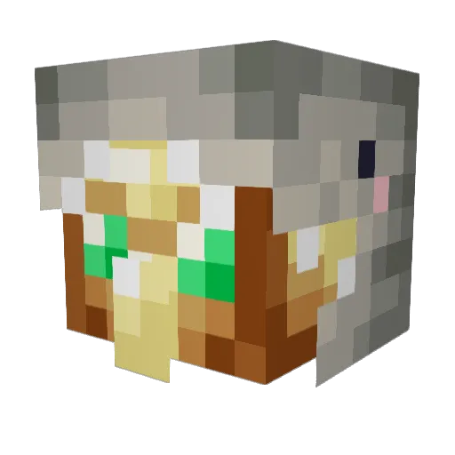FoolishGamers Minecraft avatar head, 3D render