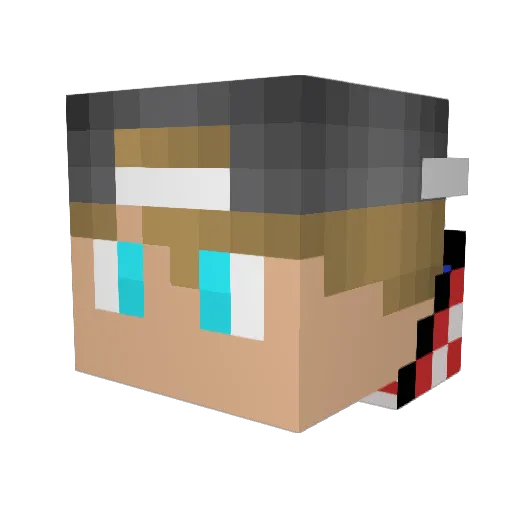 Foolishkid2_ Minecraft avatar head, 3D render