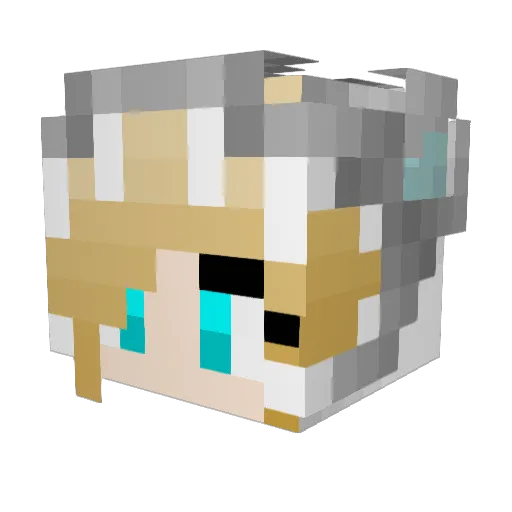Foolly Minecraft avatar head, 3D render