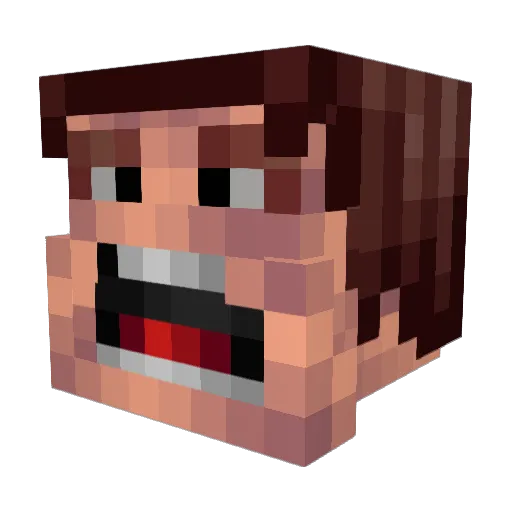 Foolocker Minecraft avatar head, 3D render
