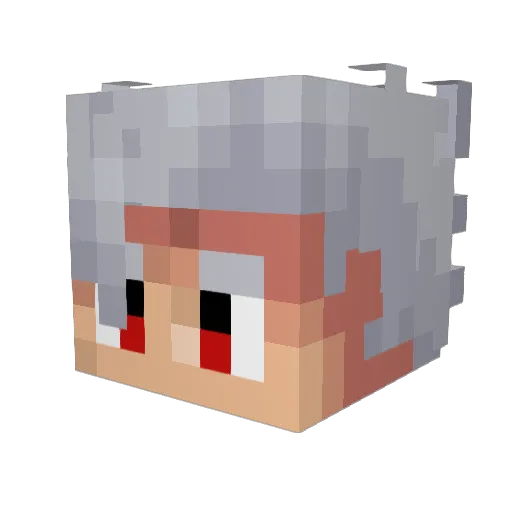 FoolyDooly2343 Minecraft avatar head, 3D render