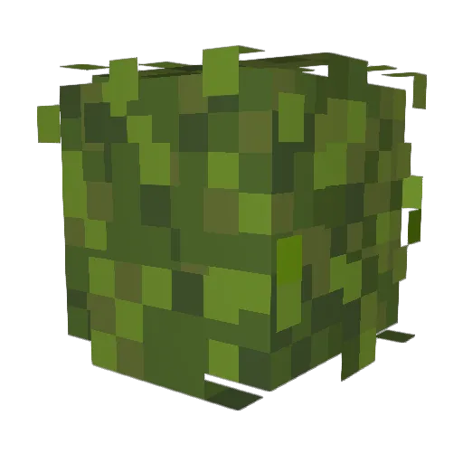 Fooo3 Minecraft avatar head, 3D render