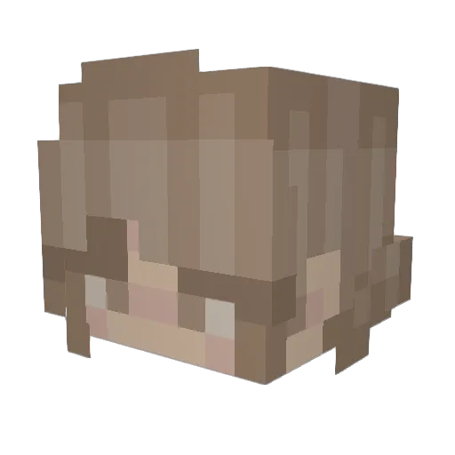 FoooFooo Minecraft avatar head, 3D render