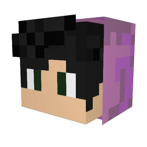 Foool_v Minecraft avatar head, 3D render