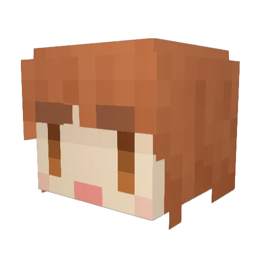 FoooooL Minecraft avatar head, 3D render