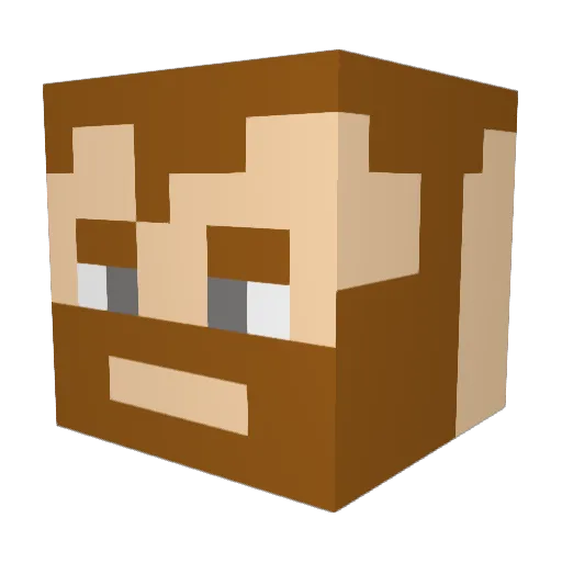 Foor44 Minecraft avatar head, 3D render