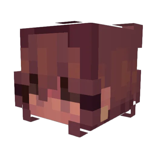 Foorez Minecraft avatar head, 3D render